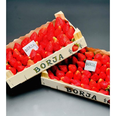 Fraise BORJA 1kg