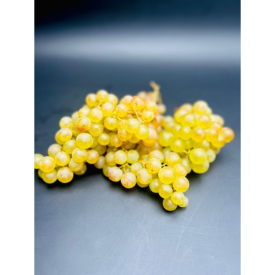 Raisin Chasselas de Moissac...