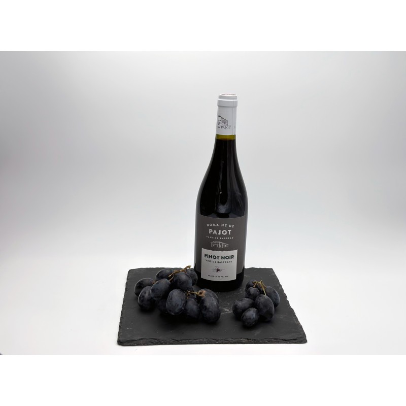 Domaine de Pajot - Pinot Noir - 2020 - BIO