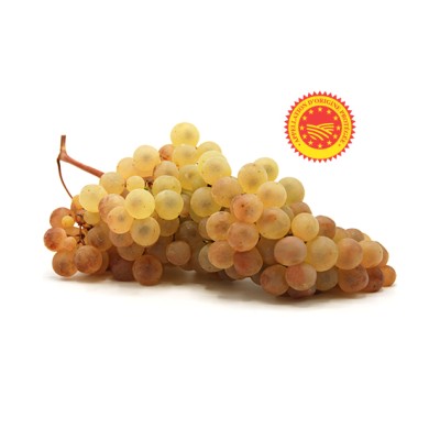 Raisin Chasselas de Moissac...